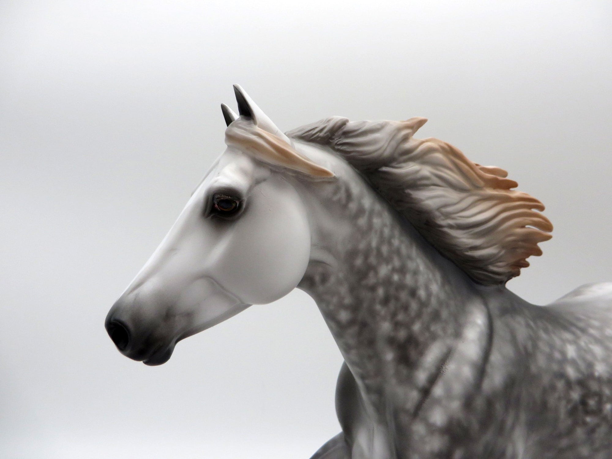 Fly Off the Handle-OOAK Dapple Grey FQH Painted by Sheryl Leisure 5/21