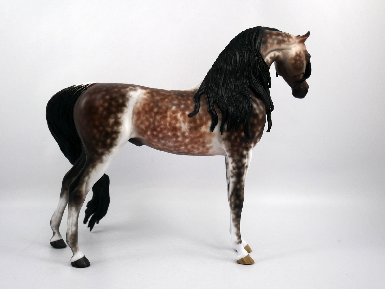 Fonzie-OOAK Star Dapple Bay going Grey Arabian Painted by Sheryl Leisure 1/20