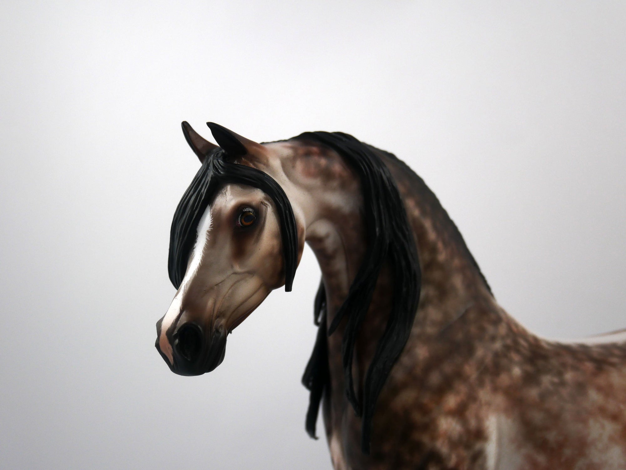 Fonzie-OOAK Star Dapple Bay going Grey Arabian Painted by Sheryl Leisure 1/20