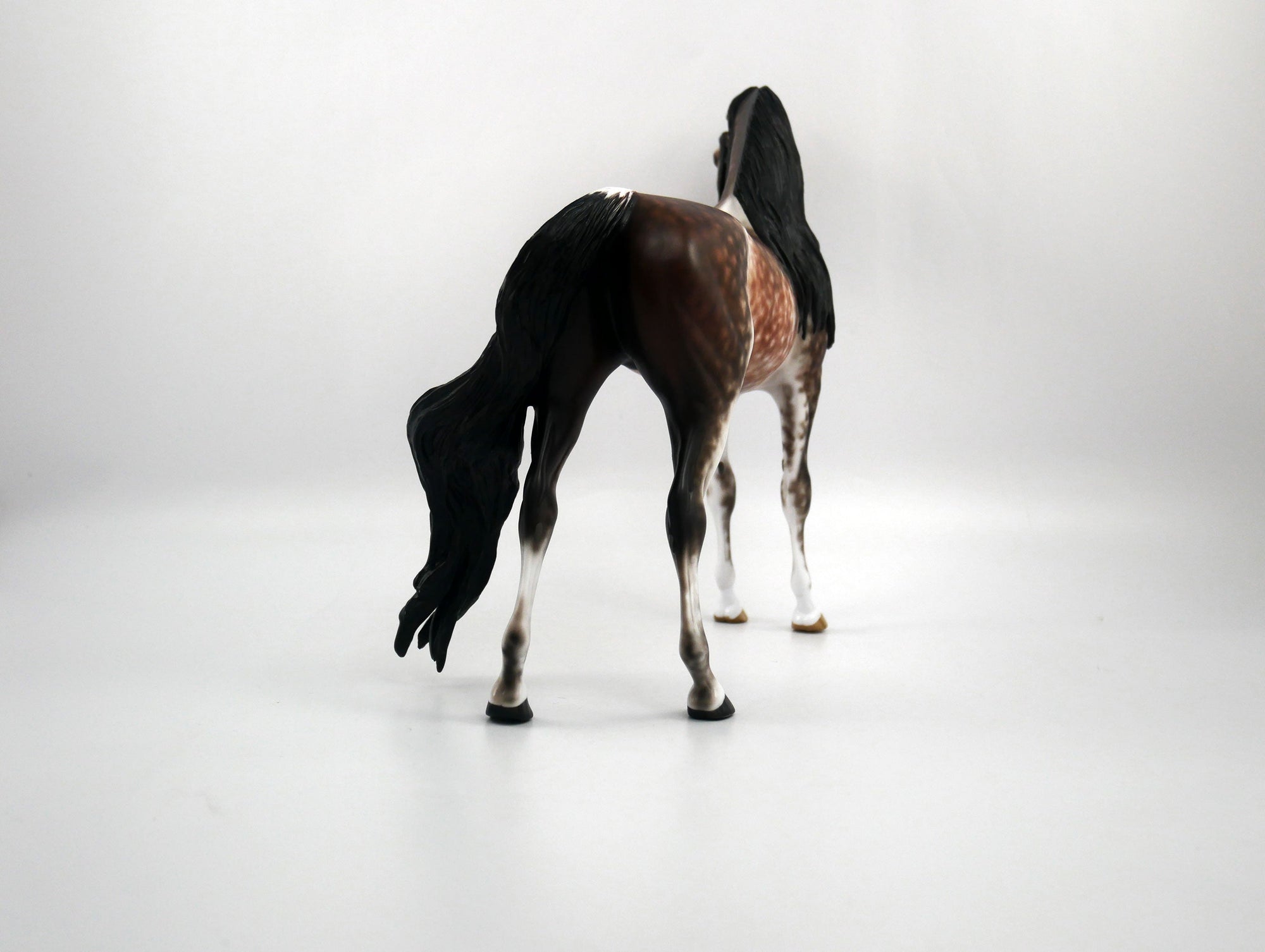 Fonzie-OOAK Star Dapple Bay going Grey Arabian Painted by Sheryl Leisure 1/20