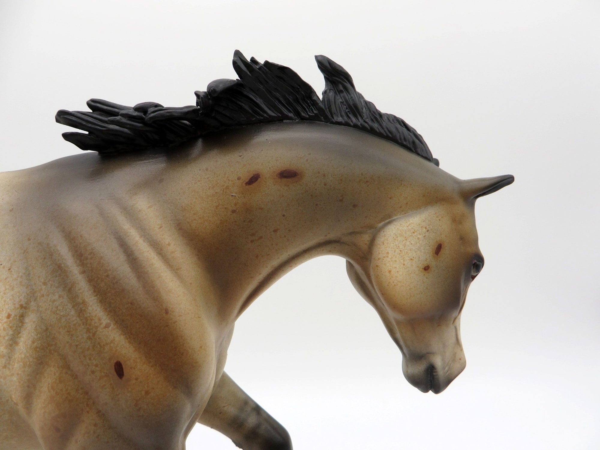 Forge-OOAK Buckskin  Appaloosa Performance Horse  Equilocity 2021 Painted by Julie Keim