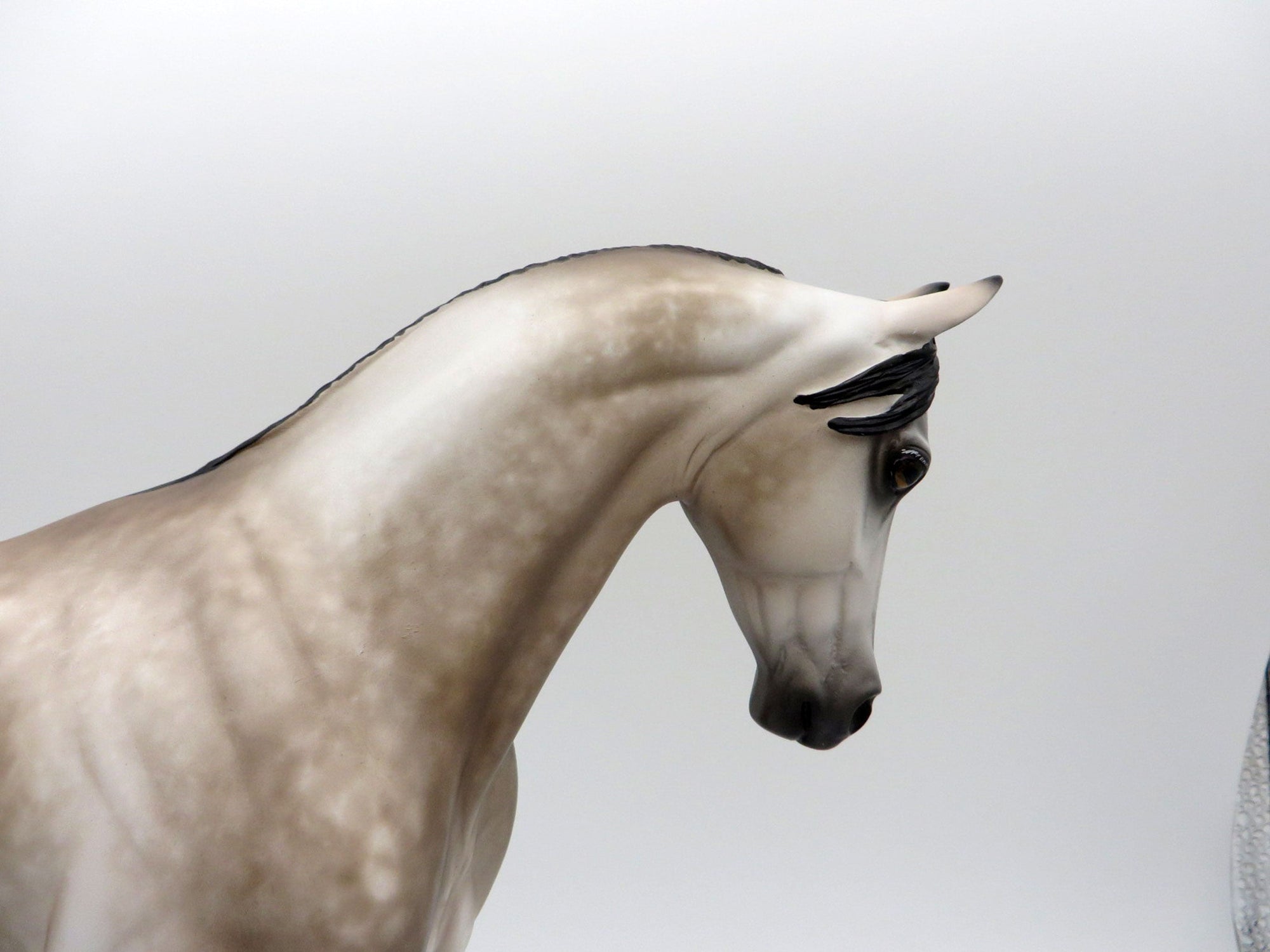 Four Tops-OOAK Dapple Bay going Gray Thoroughbred Painted by Sheryl Leisure  11/29/21