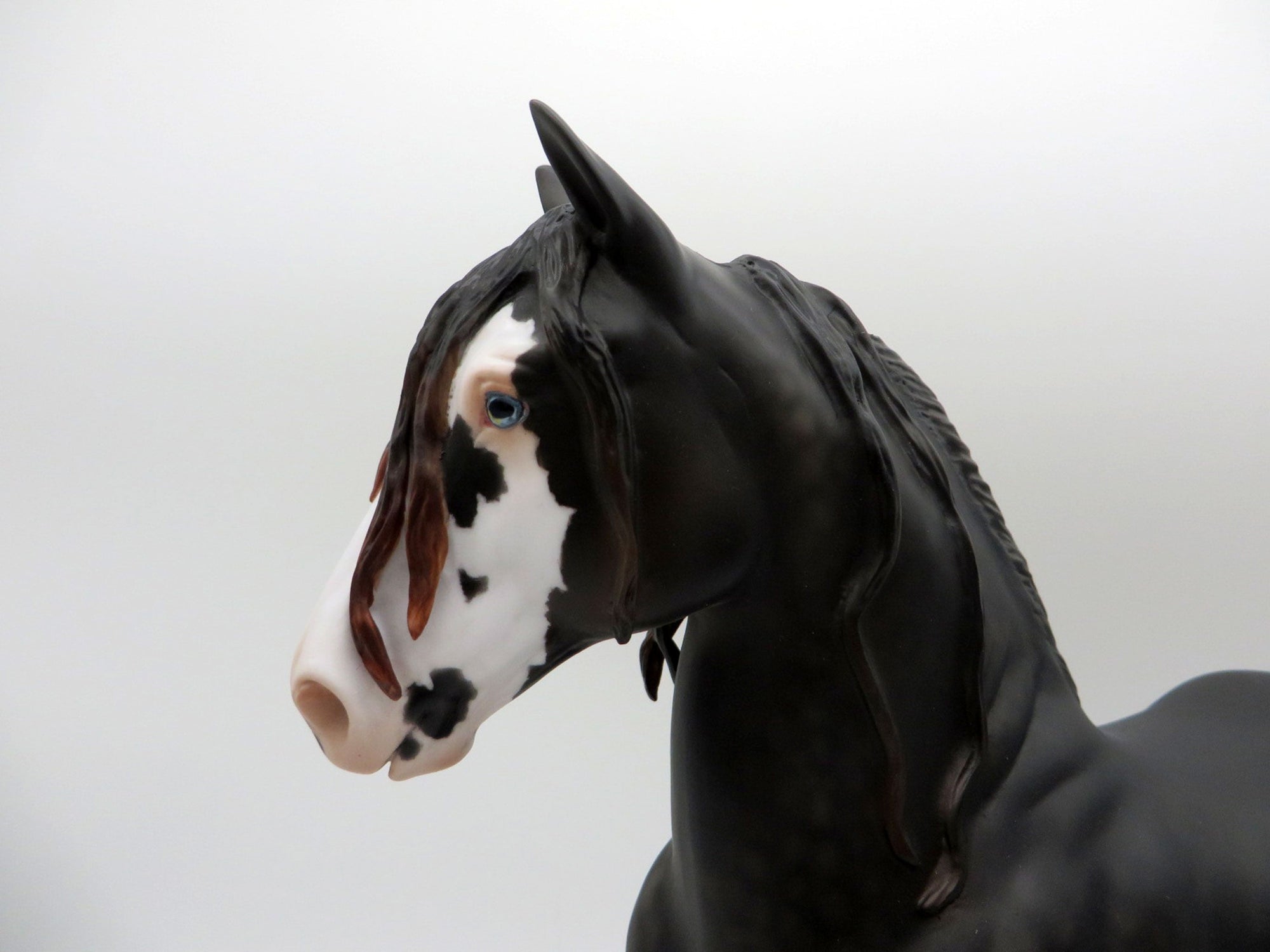 Foxglove-OOAK Sunburnt Black Trotting Drafter Pained By  SHCF 21