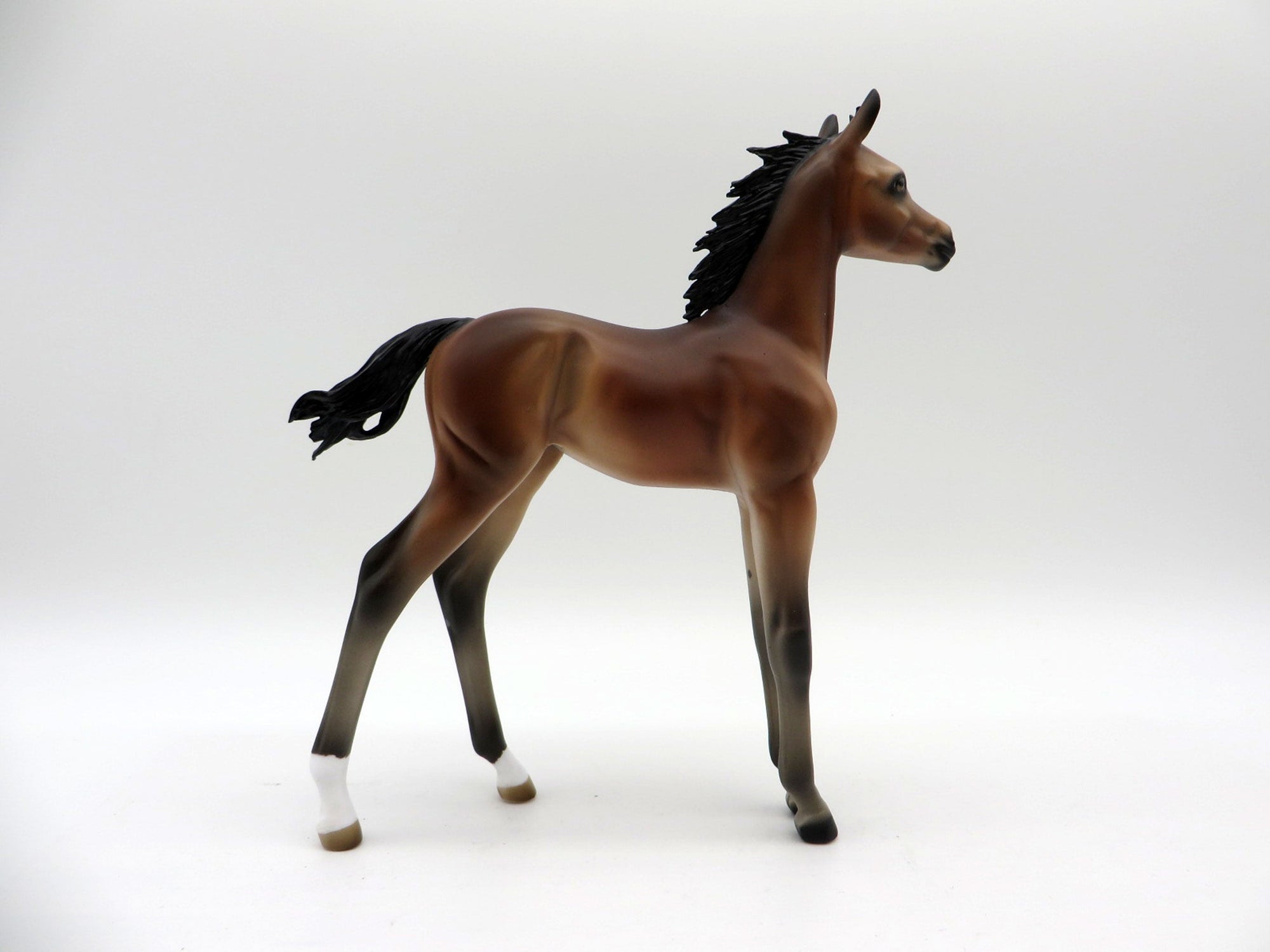 Francine-OOAK Bay Foal Painted By Audrey Dixon EQ 21