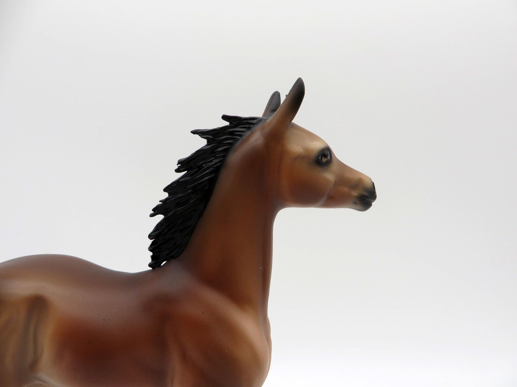 Francine-OOAK Bay Foal Painted By Audrey Dixon EQ 21