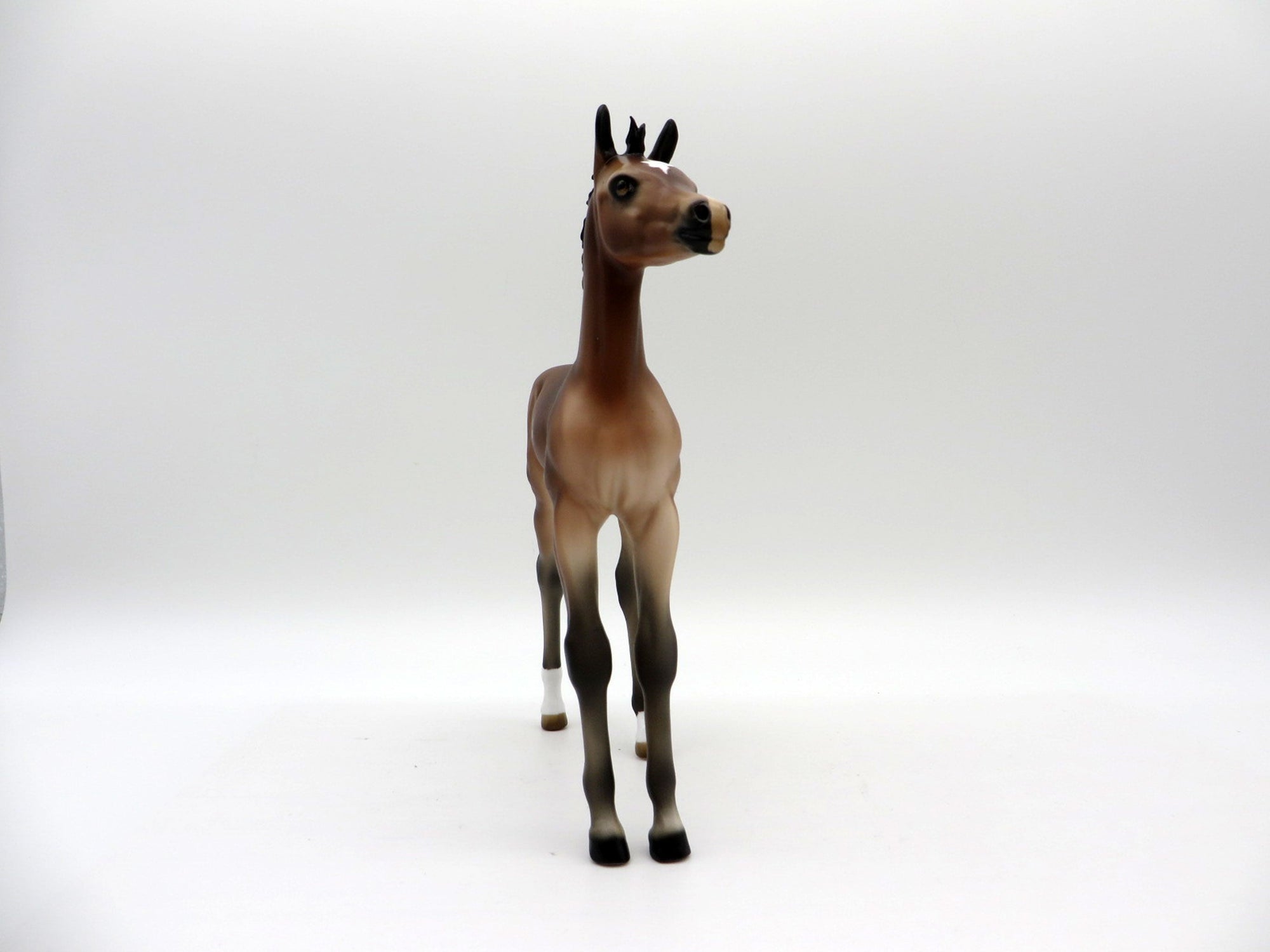 Francine-OOAK Bay Foal Painted By Audrey Dixon EQ 21