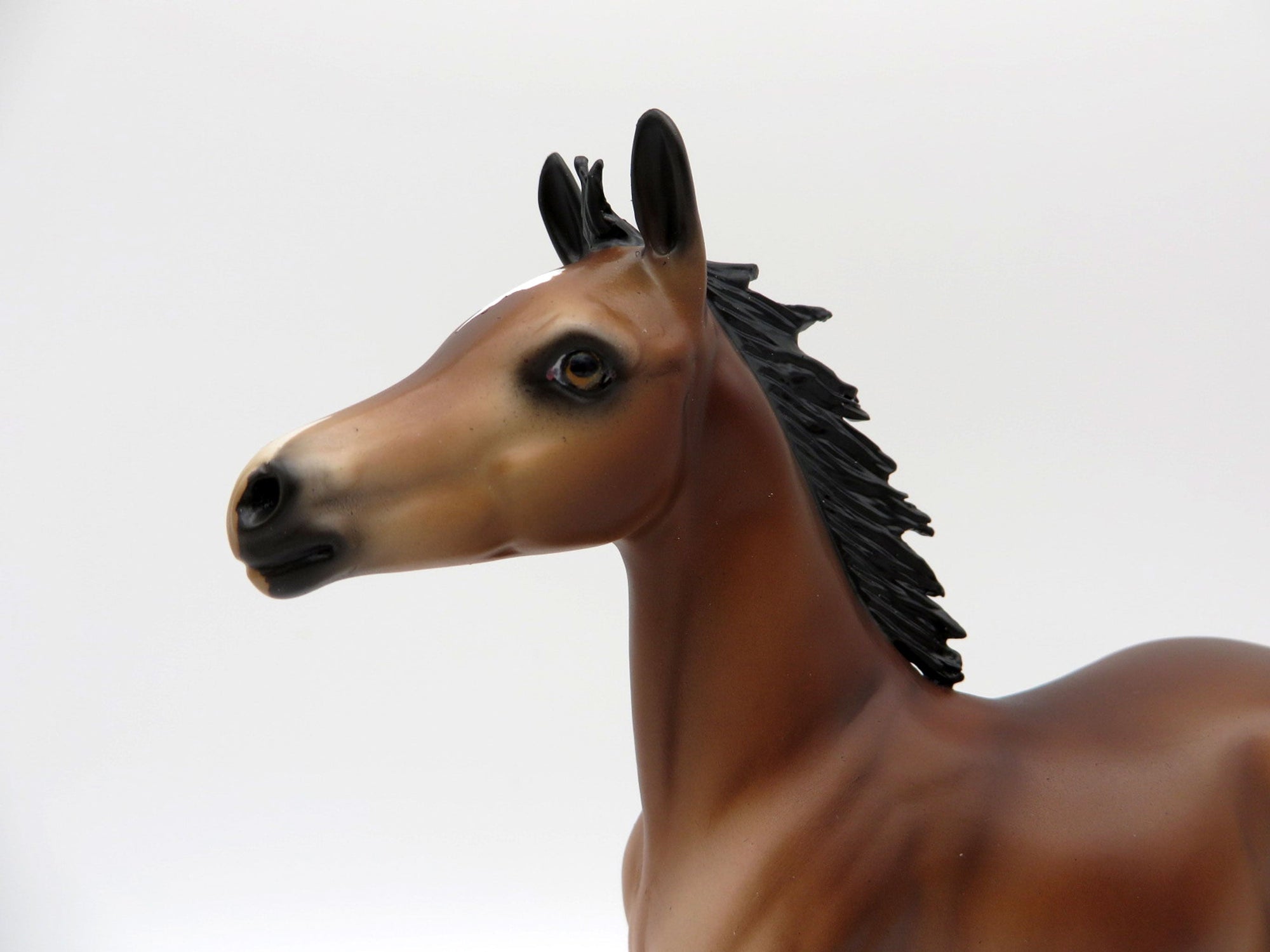 Francine-OOAK Bay Foal Painted By Audrey Dixon EQ 21