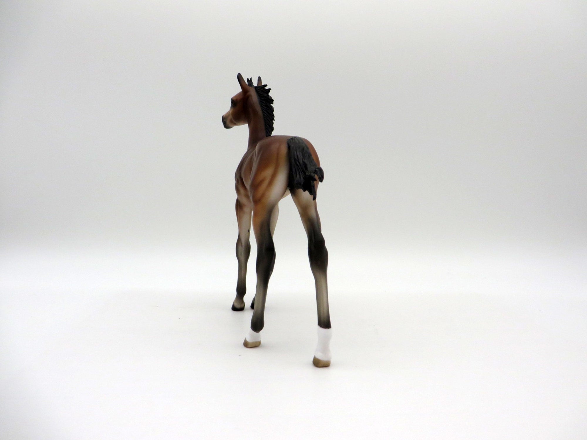 Francine-OOAK Bay Foal Painted By Audrey Dixon EQ 21