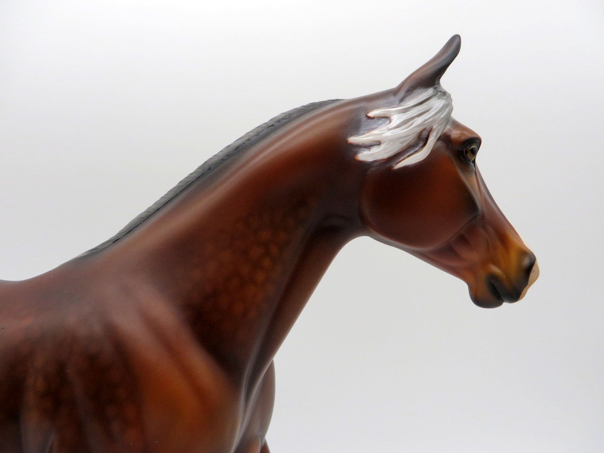 Francis-OOAK Dapple Silver Bay Palouse Painted By Audrey Dixon  EQ 21