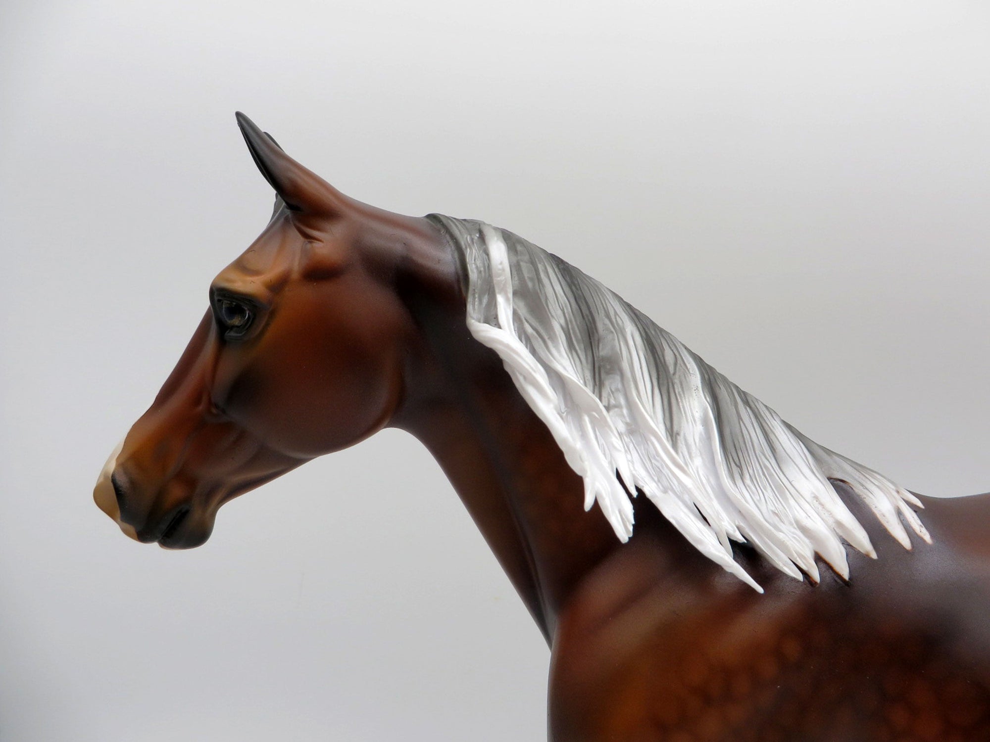 Francis-OOAK Dapple Silver Bay Palouse Painted By Audrey Dixon  EQ 21