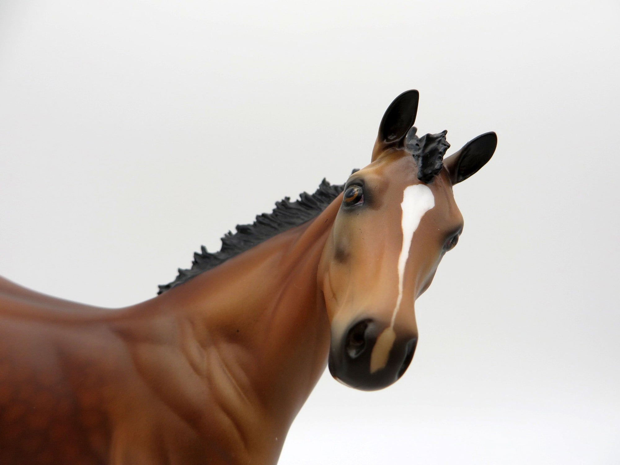 Francisco-OOAK Bay Weanling Equilocity 2021 Painted by Audrey Dixon