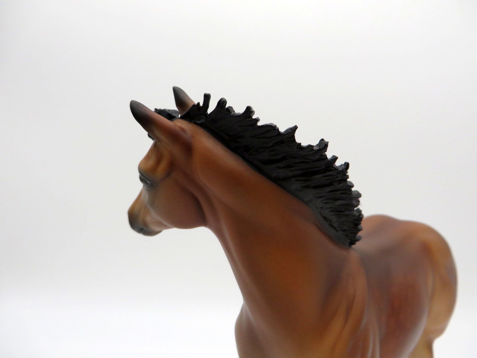 Francisco-OOAK Bay Weanling Equilocity 2021 Painted by Audrey Dixon