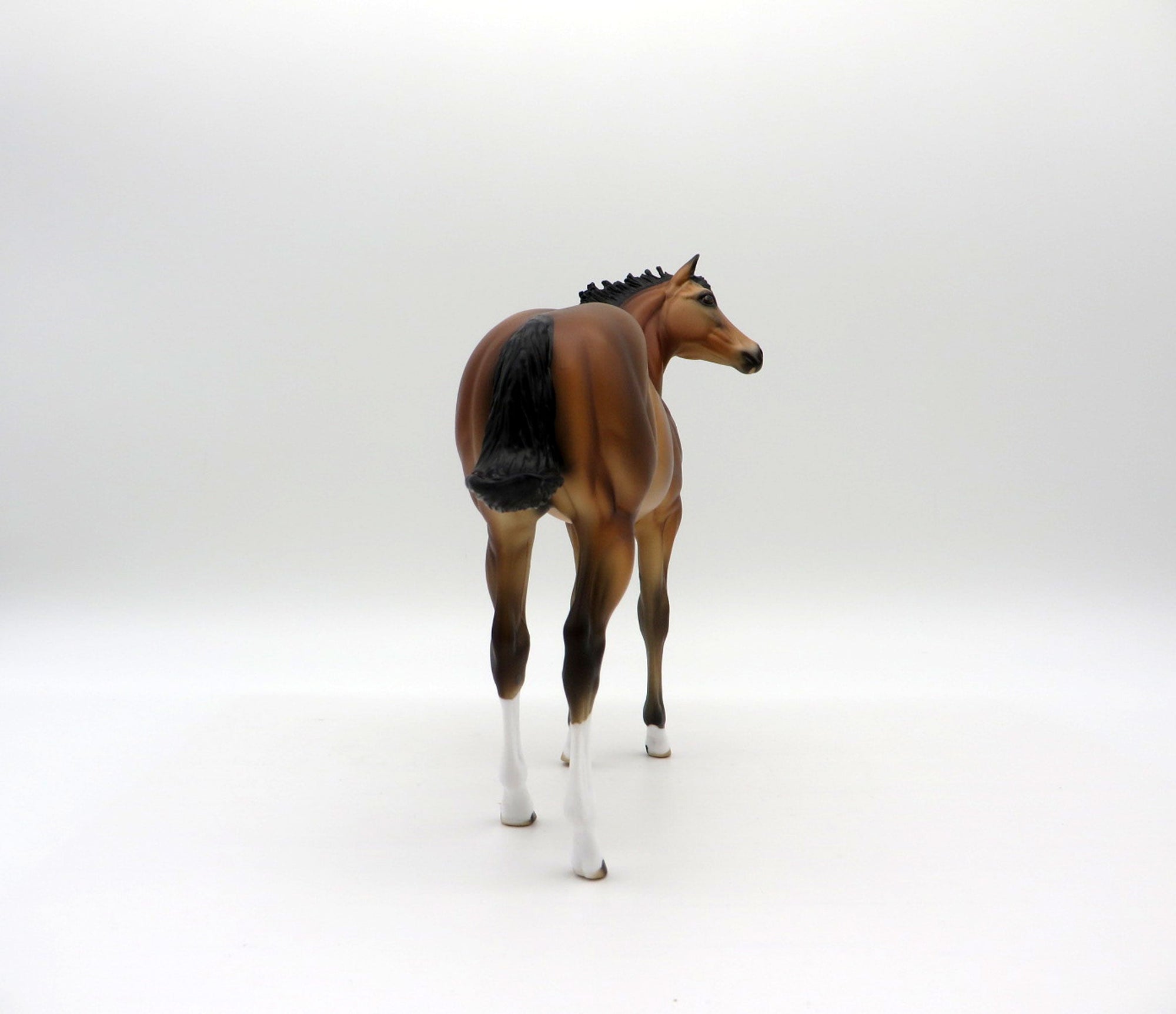 Francisco-OOAK Bay Weanling Equilocity 2021 Painted by Audrey Dixon