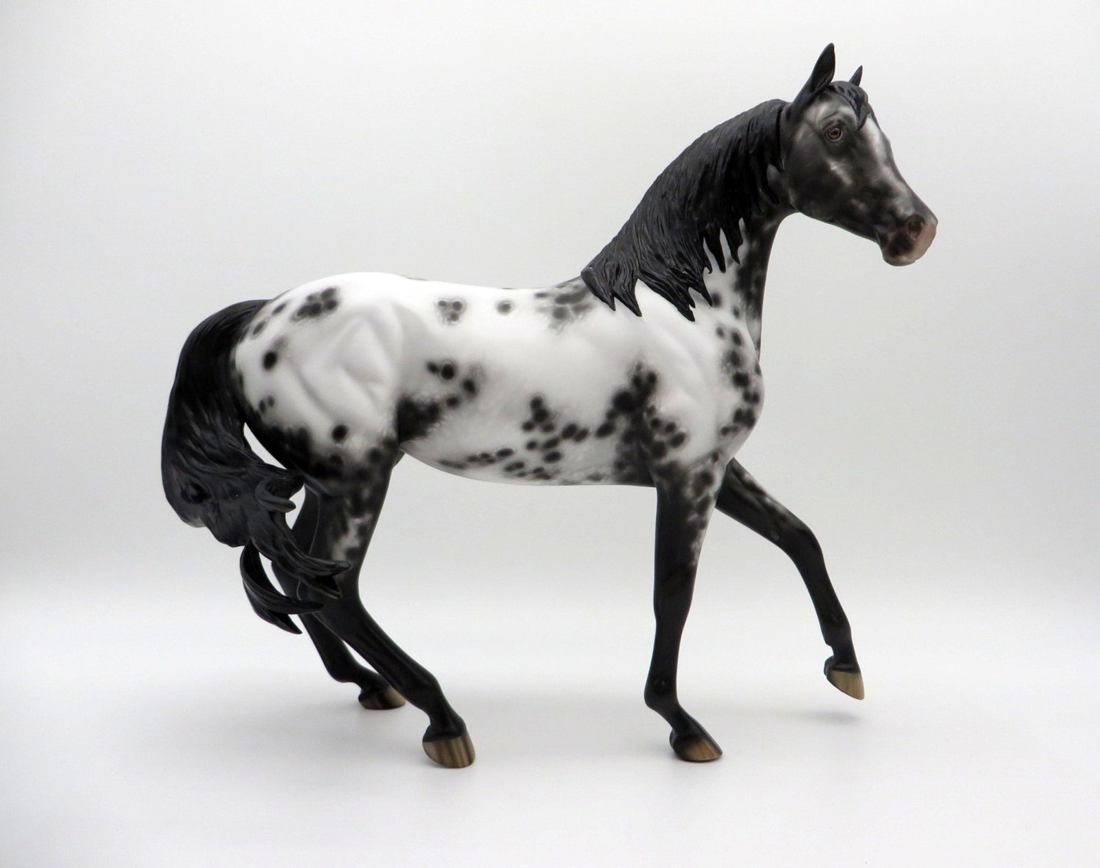 Freak Out-OOAK Appaloosa Arabian Mare SHCF 21