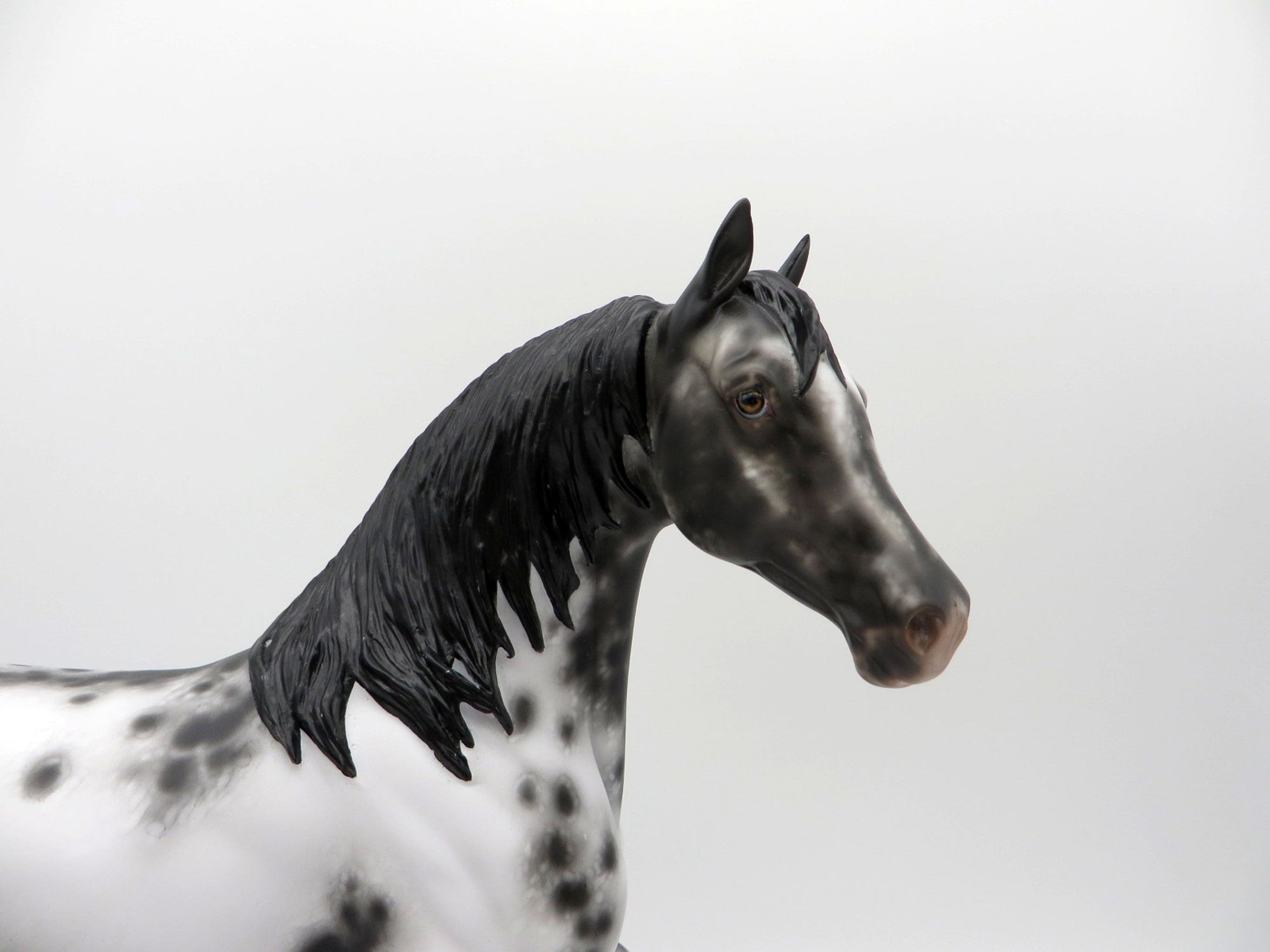 Freak Out-OOAK Appaloosa Arabian Mare SHCF 21