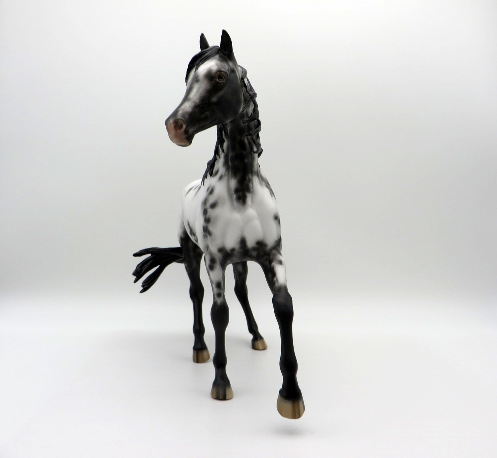 Freak Out-OOAK Appaloosa Arabian Mare SHCF 21