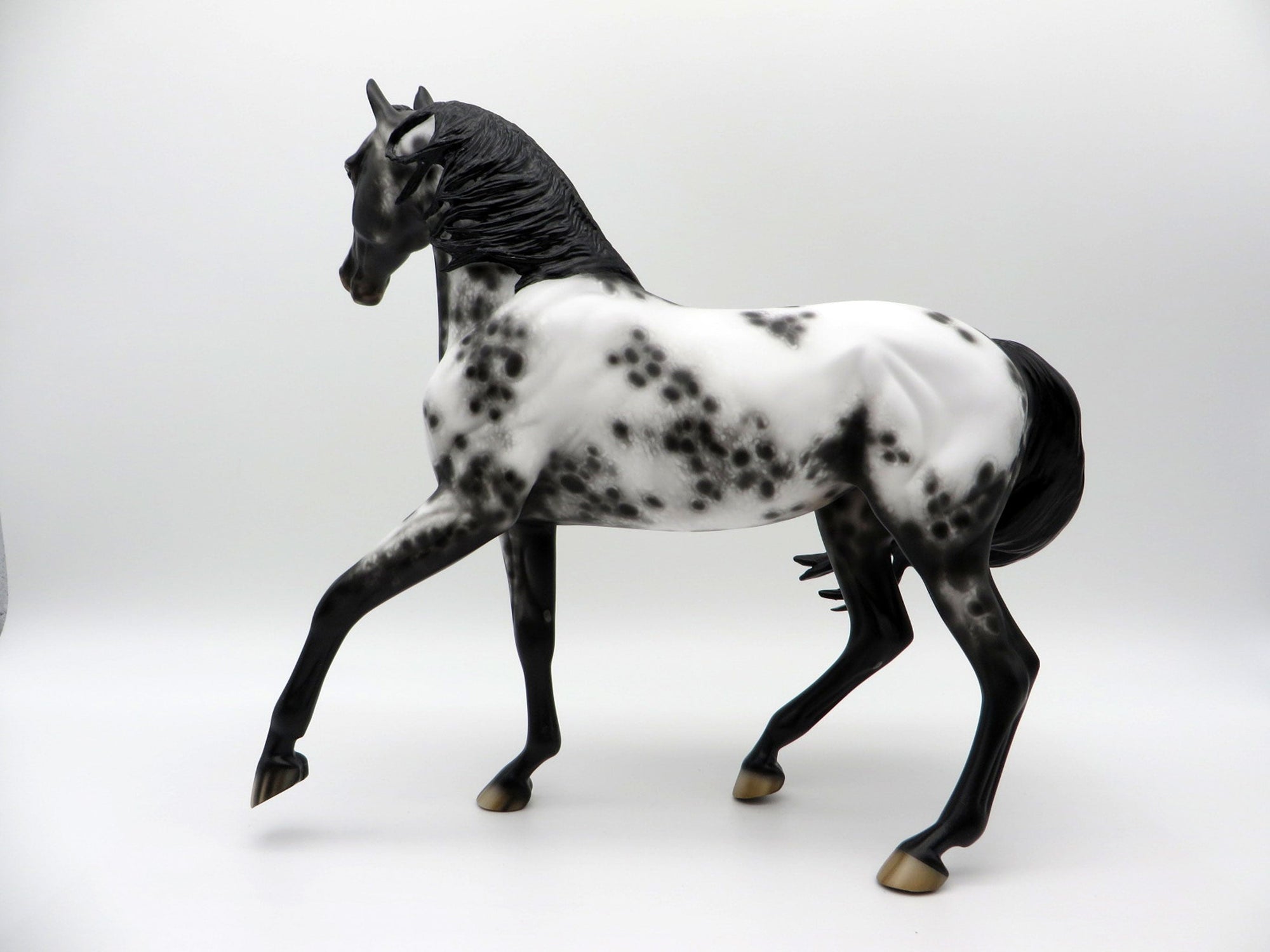 Freak Out-OOAK Appaloosa Arabian Mare SHCF 21