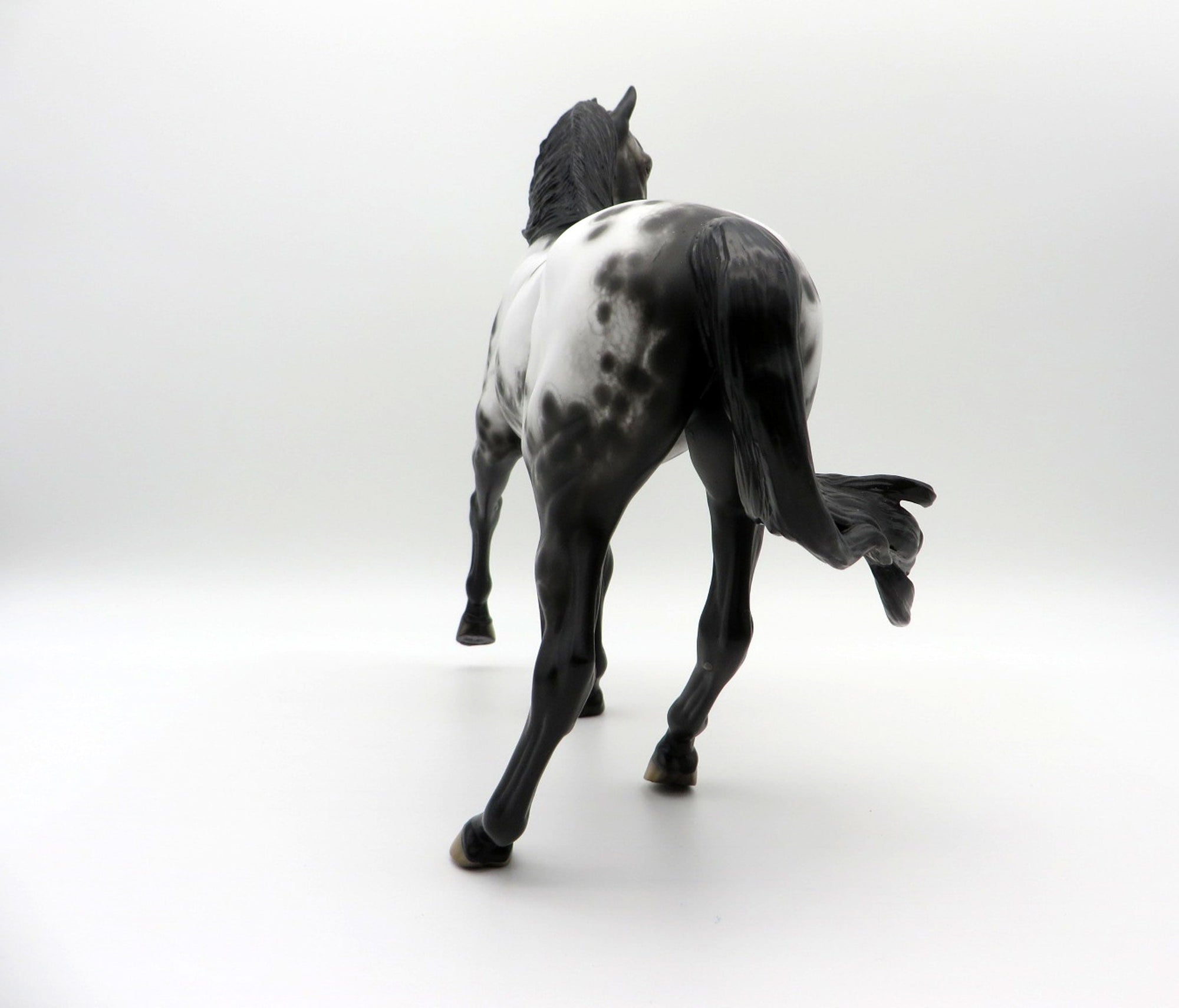 Freak Out-OOAK Appaloosa Arabian Mare SHCF 21