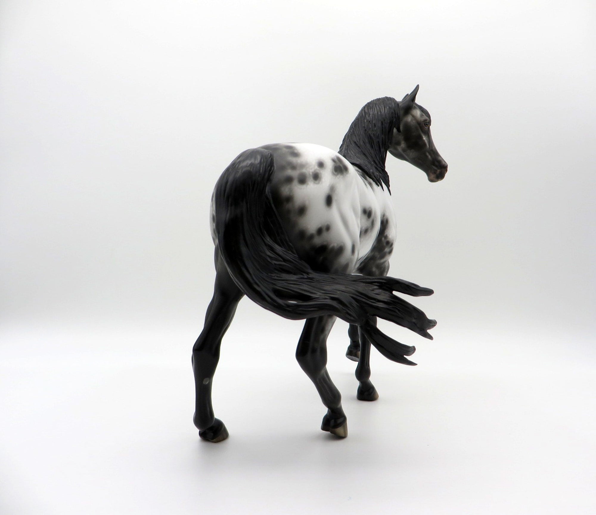 Freak Out-OOAK Appaloosa Arabian Mare SHCF 21