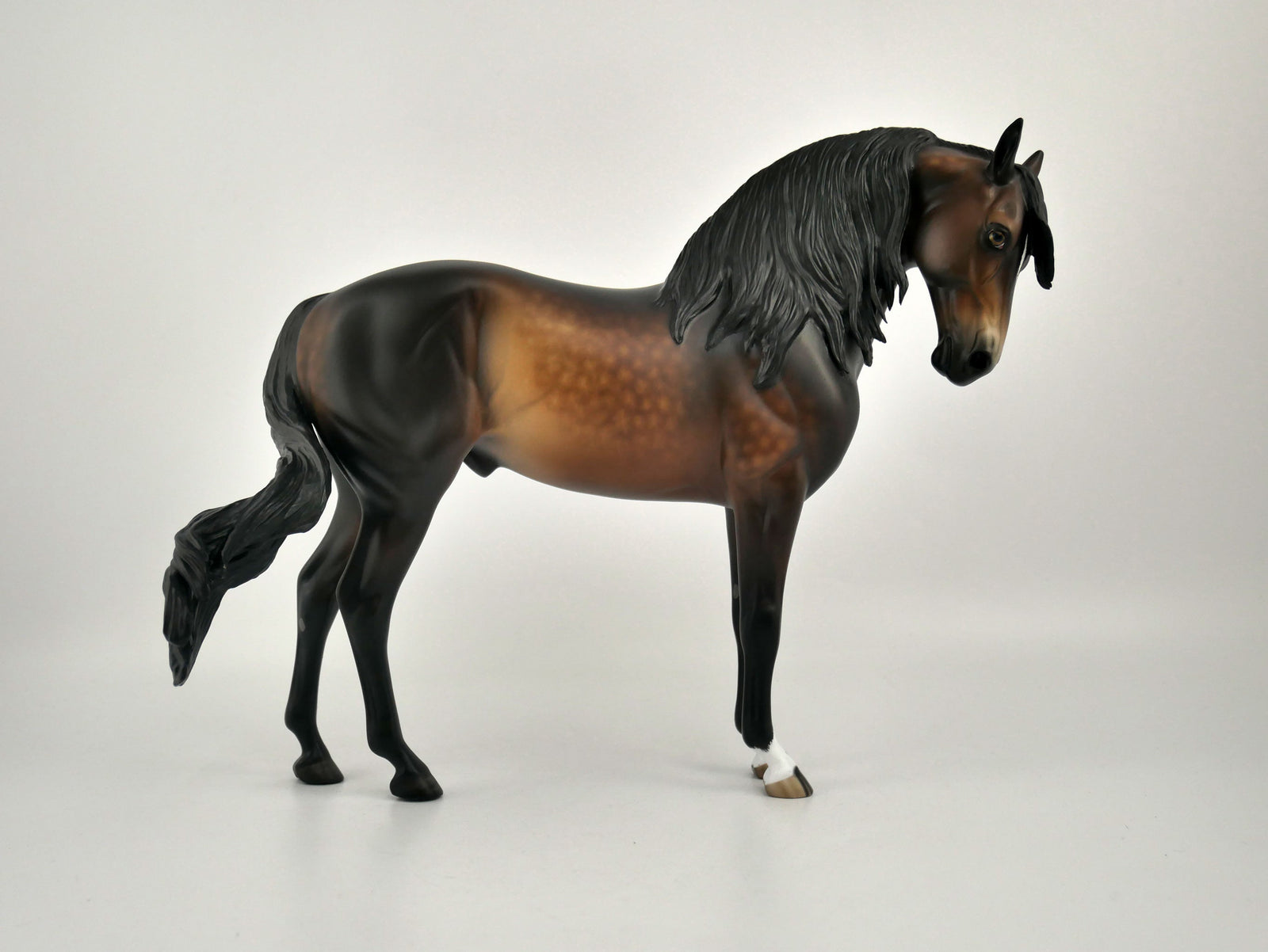 FREDERICO-OOAK DAPPLE BAY ANDY BY SHERYL LEISURE 11/11/20