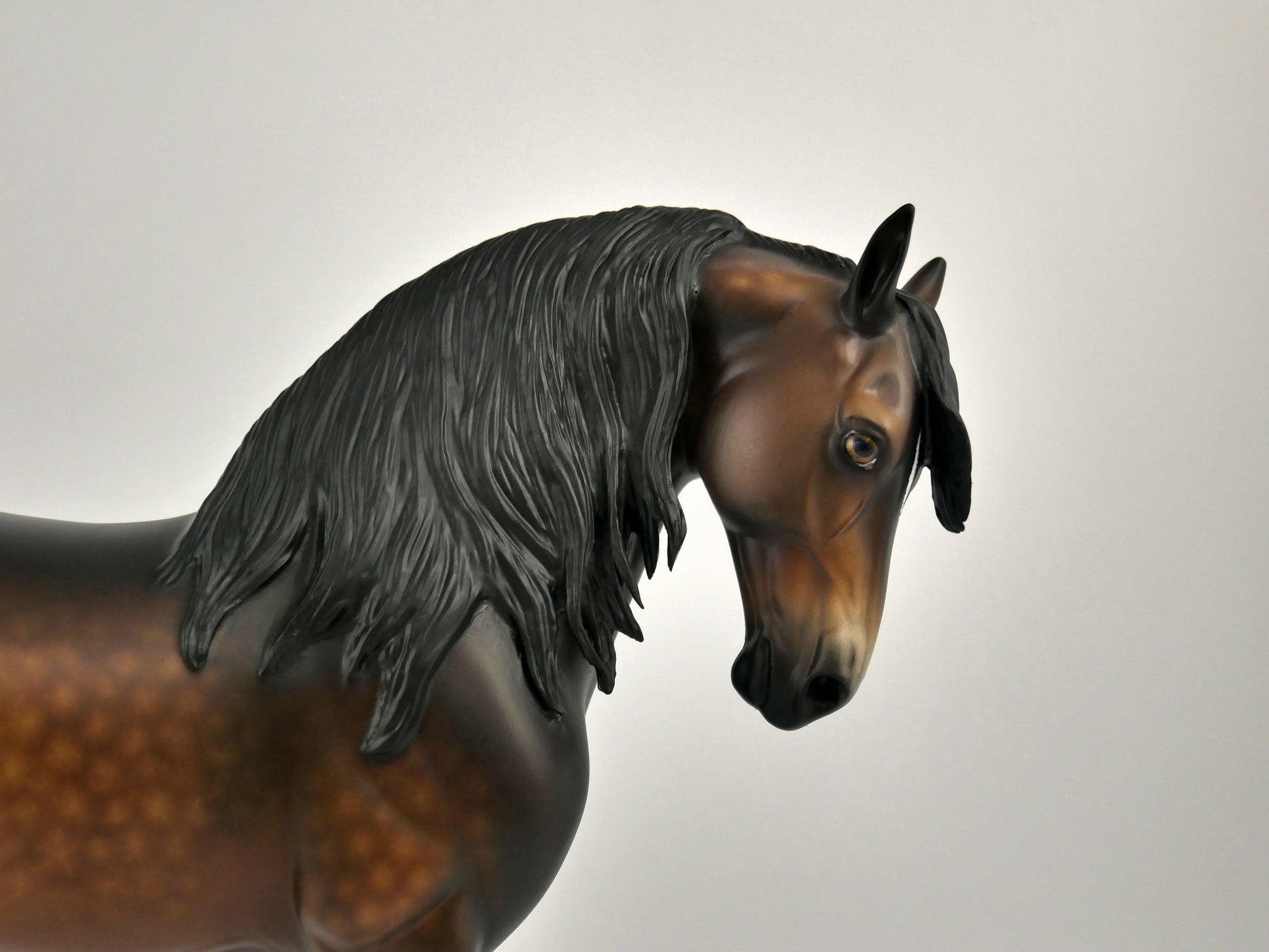 FREDERICO-OOAK DAPPLE BAY ANDY BY SHERYL LEISURE 11/11/20