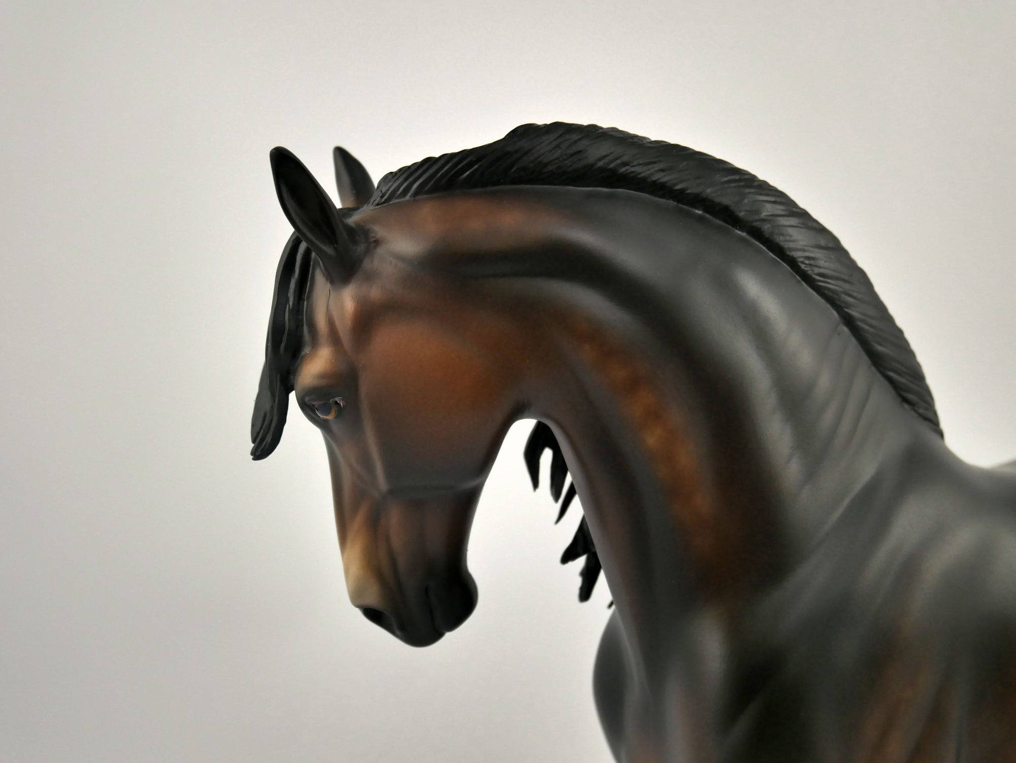 FREDERICO-OOAK DAPPLE BAY ANDY BY SHERYL LEISURE 11/11/20