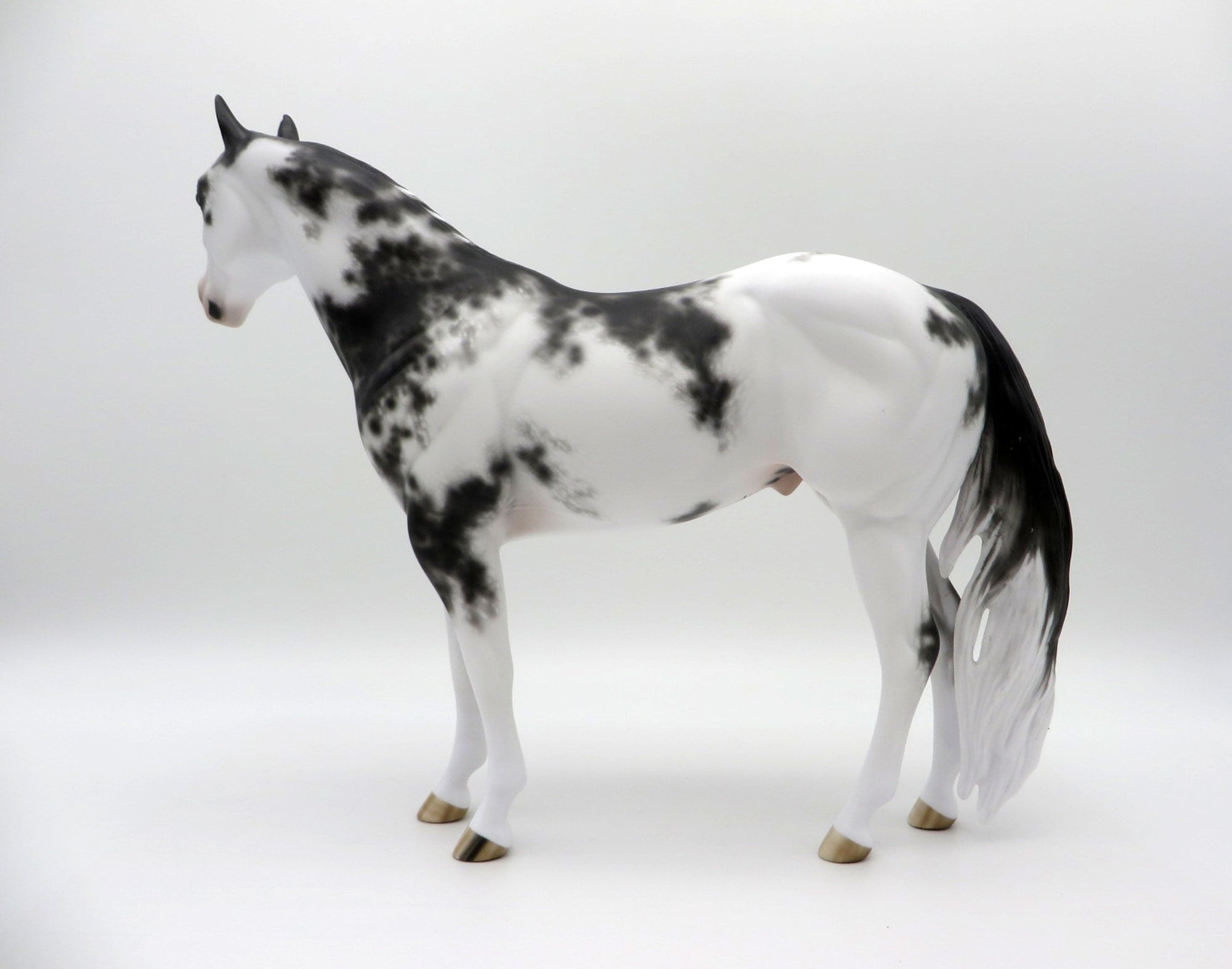 Free Fall-OOAK Appaloosa ISH  4/26/21