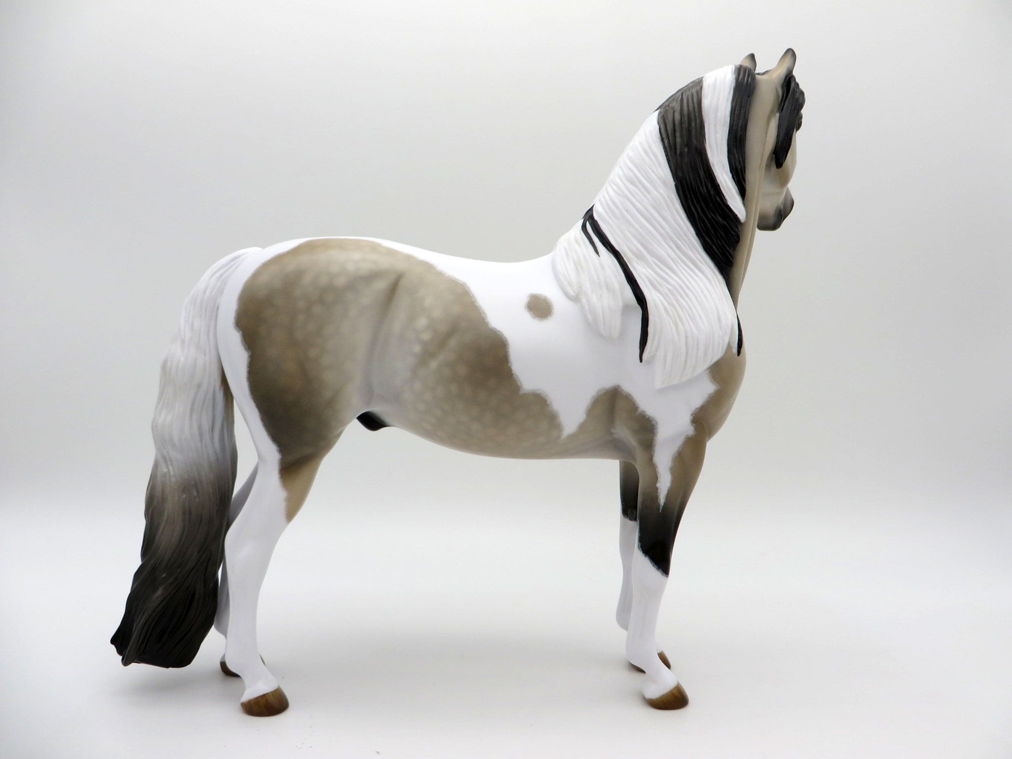 Free Speech | Dapple Buckskin Tobiano Morgan by Audrey Dixon | 7/1/21