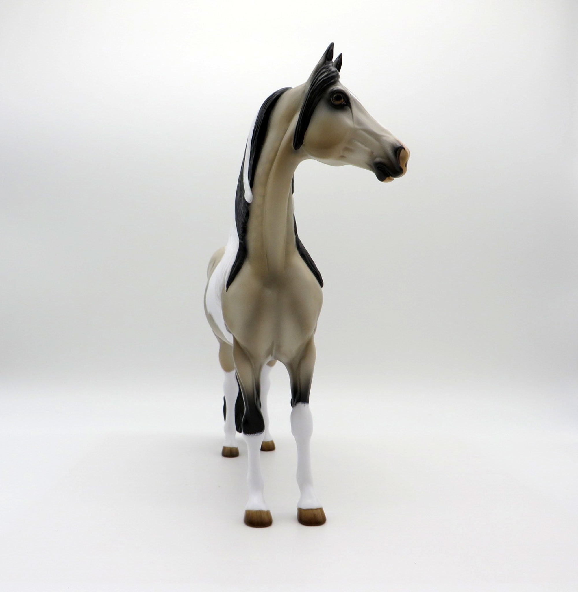 Free Speech | Dapple Buckskin Tobiano Morgan by Audrey Dixon | 7/1/21