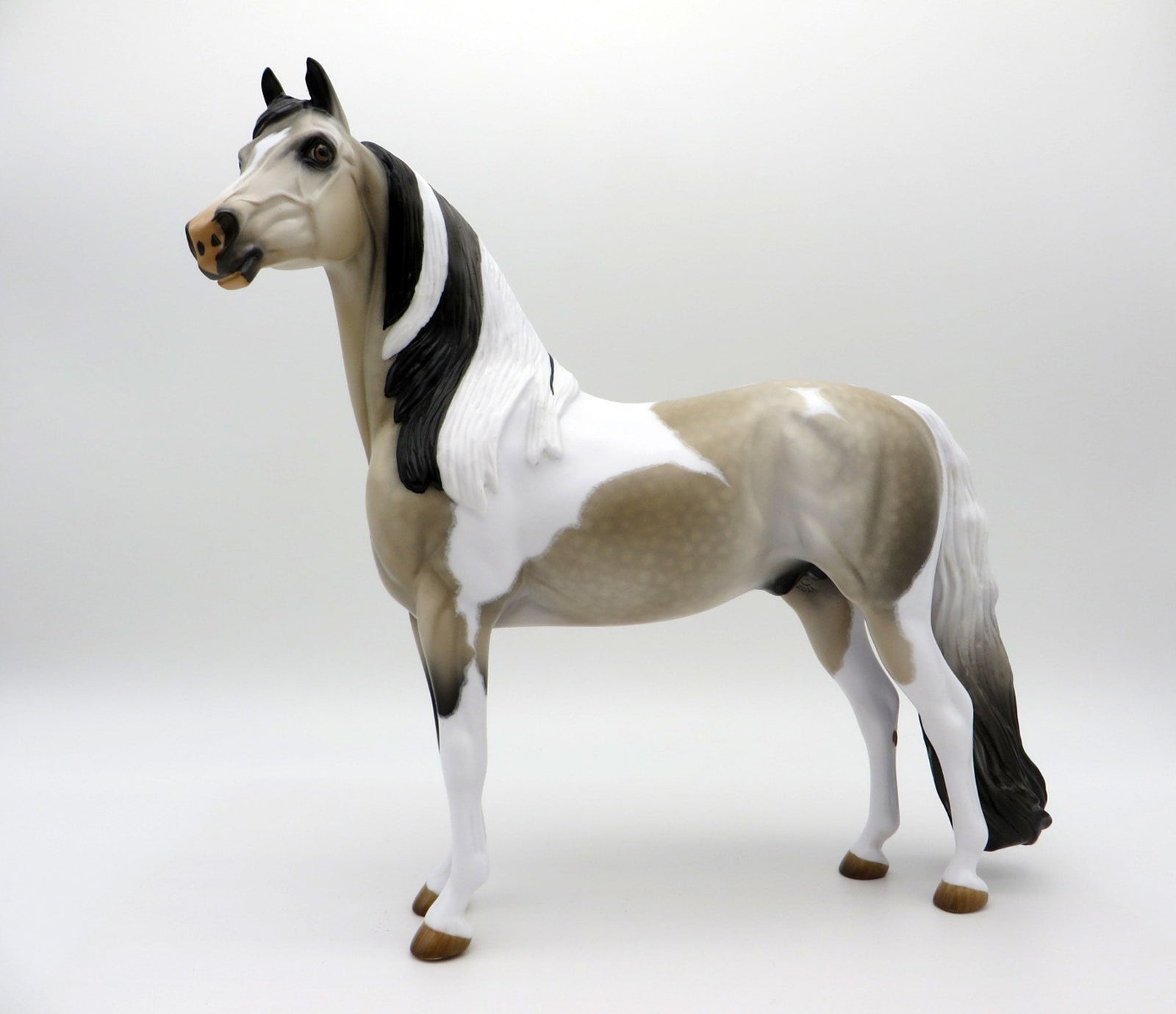 Free Speech | Dapple Buckskin Tobiano Morgan by Audrey Dixon | 7/1/21