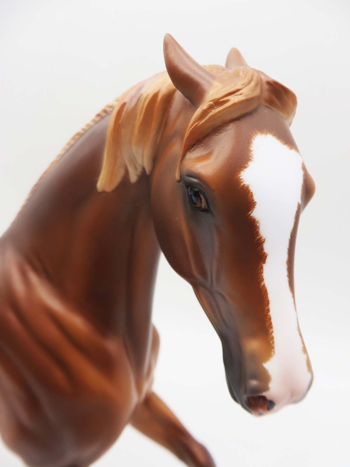 Fripp-OOAK Pinned Ear Dapple Chestnut Arabian By Caroline Boydston 3/17/23