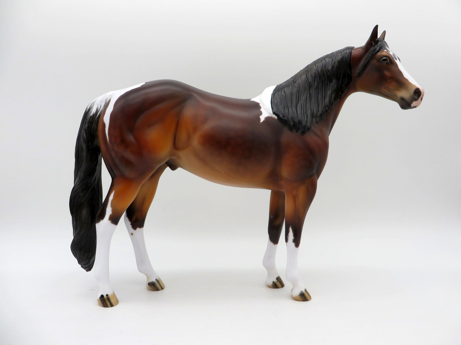 Fitzgerald-OOAK Etched Bay Pinto ISH  Painted by Julie EQ 21