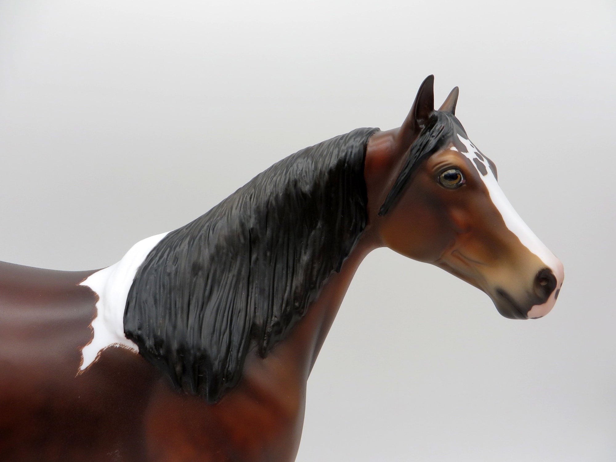 Fitzgerald-OOAK Etched Bay Pinto ISH  Painted by Julie EQ 21