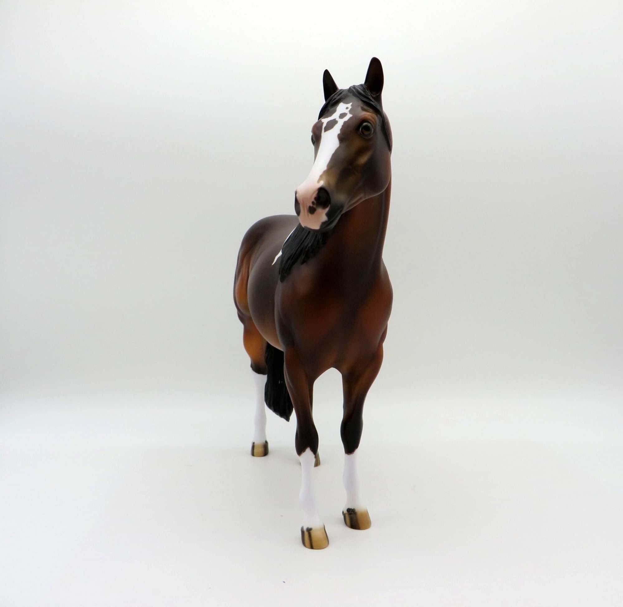 Fitzgerald-OOAK Etched Bay Pinto ISH  Painted by Julie EQ 21