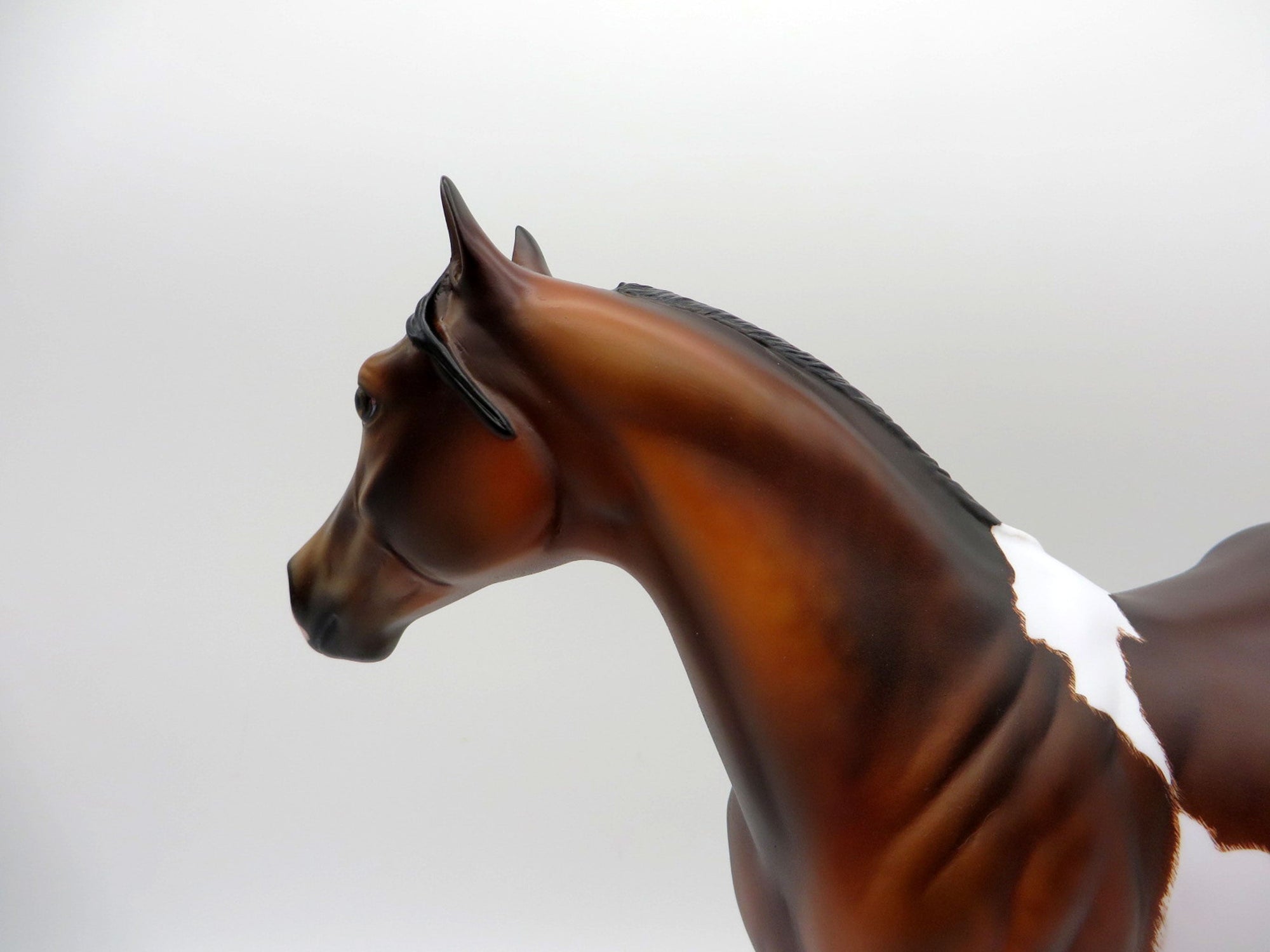 Fitzgerald-OOAK Etched Bay Pinto ISH  Painted by Julie EQ 21