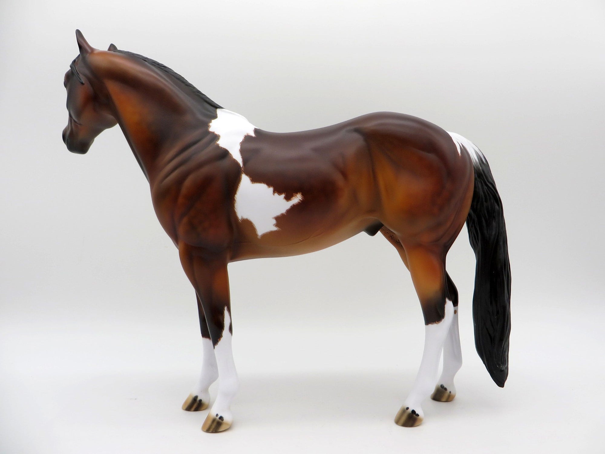 Fitzgerald-OOAK Etched Bay Pinto ISH  Painted by Julie EQ 21