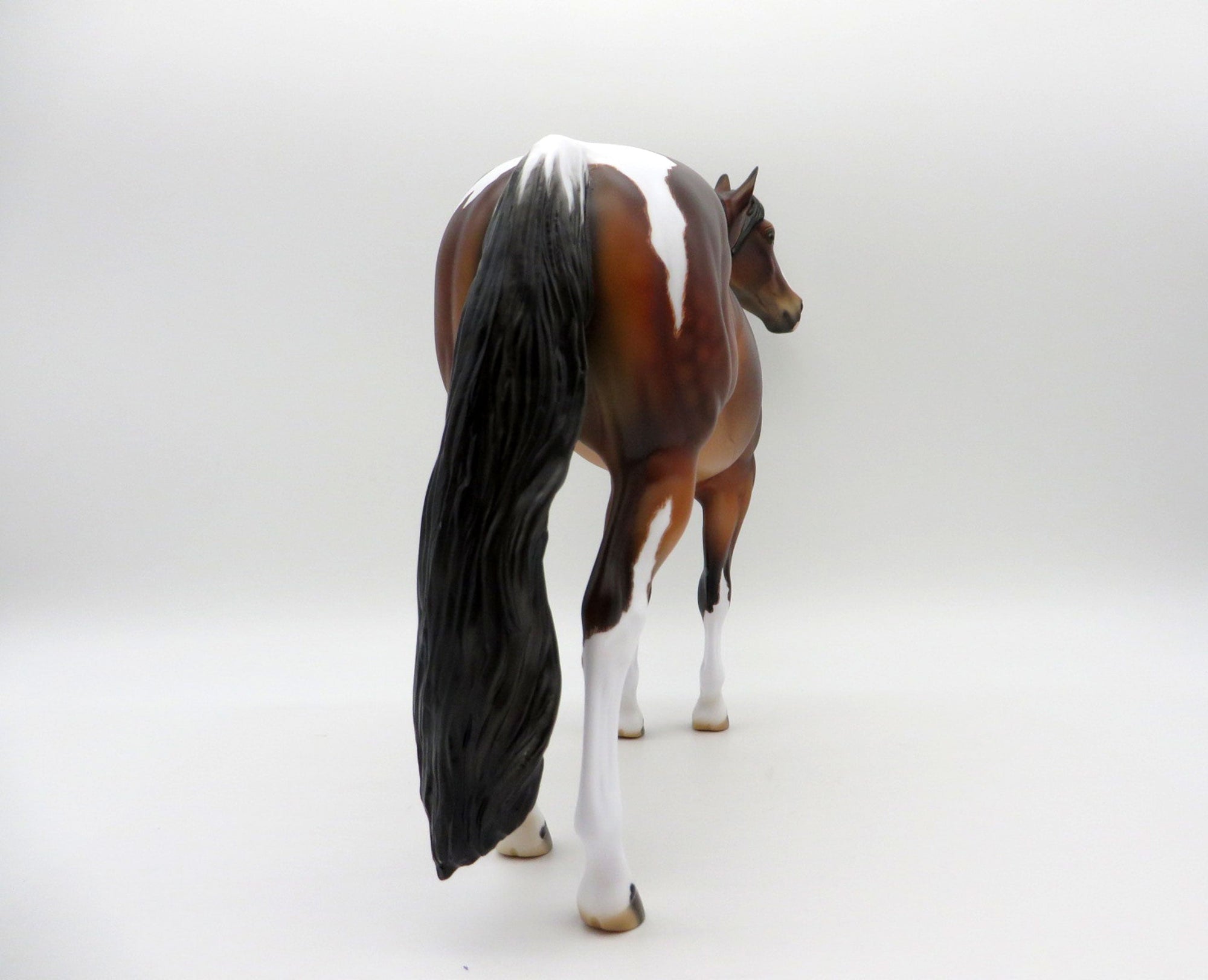 Fitzgerald-OOAK Etched Bay Pinto ISH  Painted by Julie EQ 21