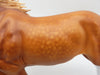 Frogger-OOAK Dapple Chestnut Running Stock Horse By Sheryl Leisure 5/19/23