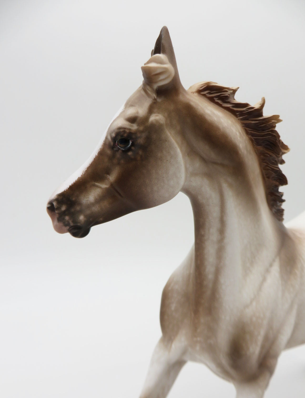 Frolic - OOAK - Varnish Appy Yearling by Sheryl Leisure Best Offer 1/23/23