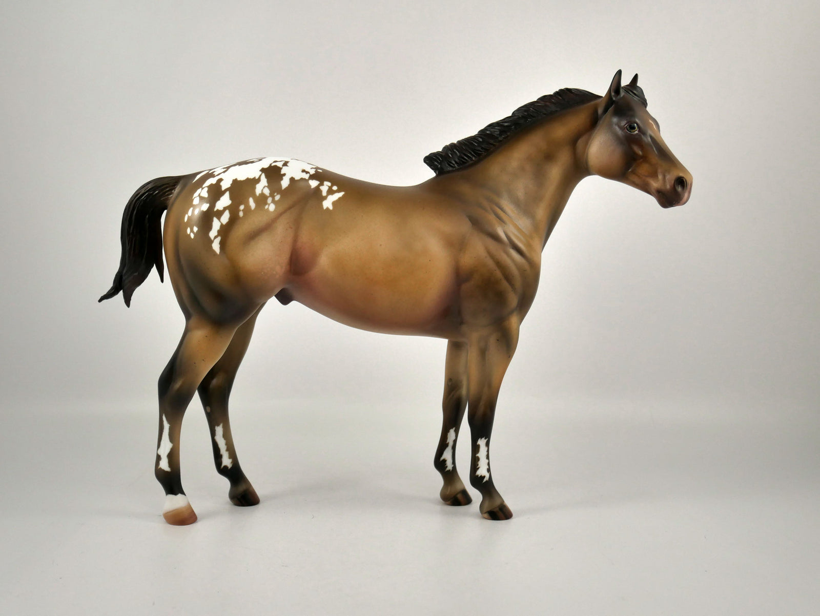 Fruit Cake-OOAK Champagne Appaloosa ISH Painted By Julie Keim 12/30/20