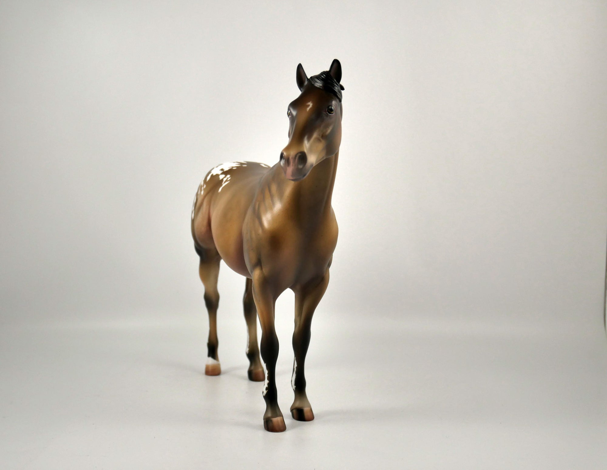 Fruit Cake-OOAK Champagne Appaloosa ISH Painted By Julie Keim 12/30/20