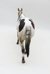 SAMPLE of Fruit Cake Glossy Loud Appaloosa Mule By Julie Kiem