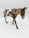 SAMPLE of Fruit Cake Glossy Loud Appaloosa Mule By Julie Kiem