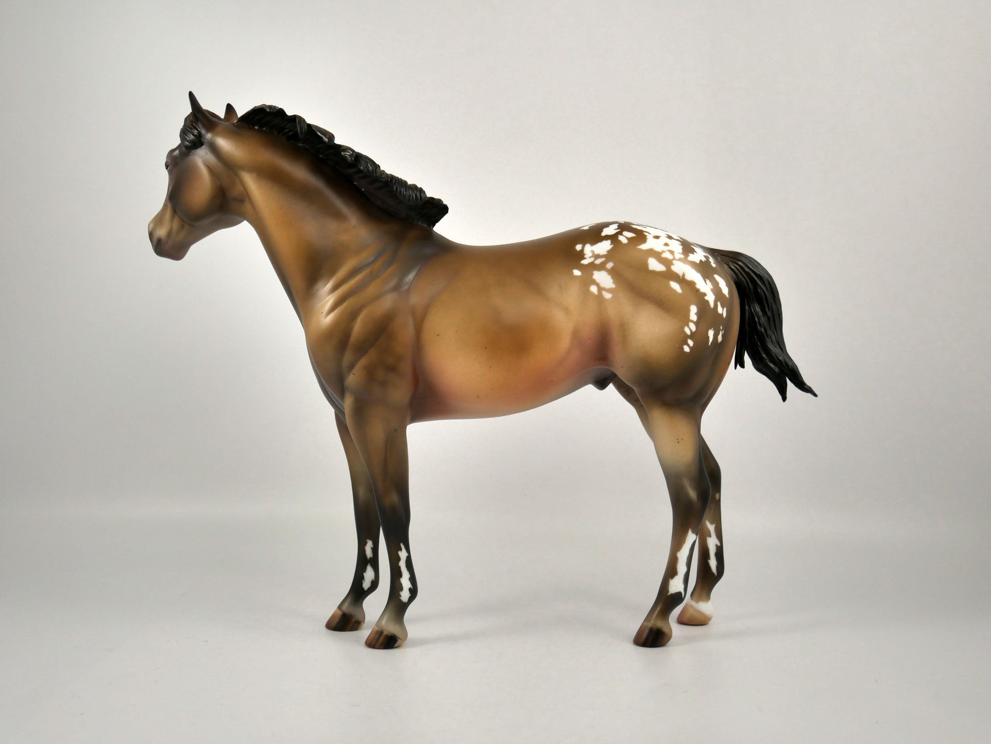 Fruit Cake-OOAK Champagne Appaloosa ISH Painted By Julie Keim 12/30/20