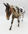 SAMPLE of Fruit Cake Glossy Loud Appaloosa Mule By Julie Kiem