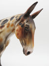 SAMPLE of Fruit Cake Glossy Loud Appaloosa Mule By Julie Kiem