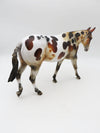 SAMPLE of Fruit Cake Glossy Loud Appaloosa Mule By Julie Kiem