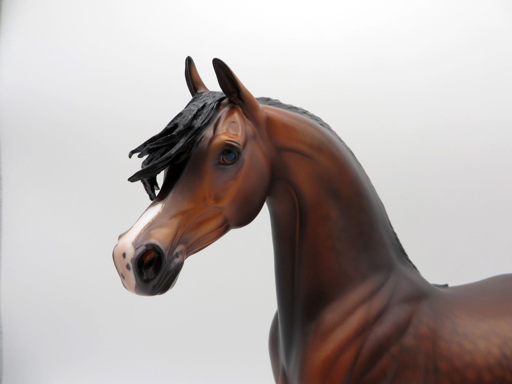 Fuji-OOAK Dapple Bay Arabian Painted By Caroline Boydston 6/22/21