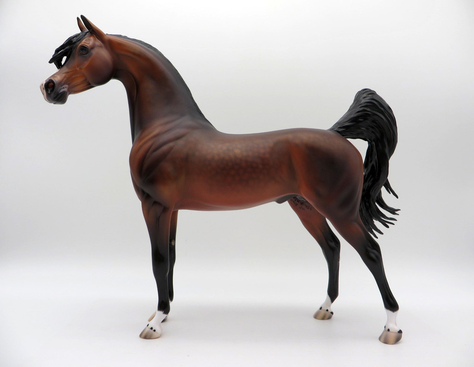Fuji-OOAK Dapple Bay Arabian Painted By Caroline Boydston 6/22/21