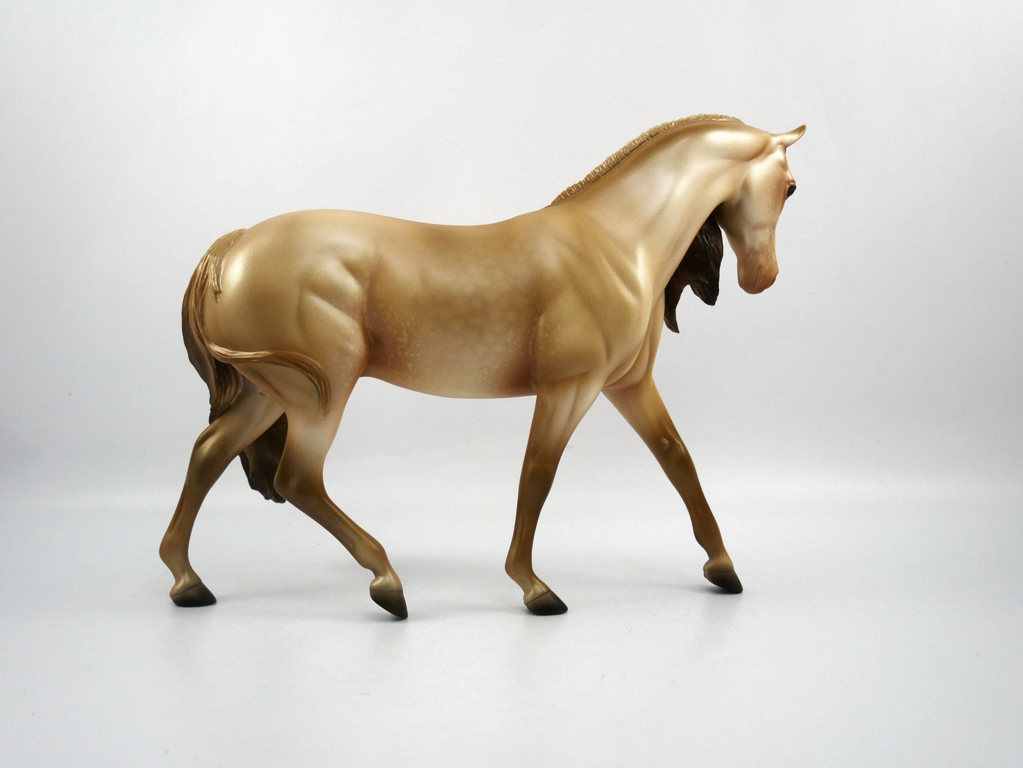 Fumble-LE-7 Champagne Pony SB21